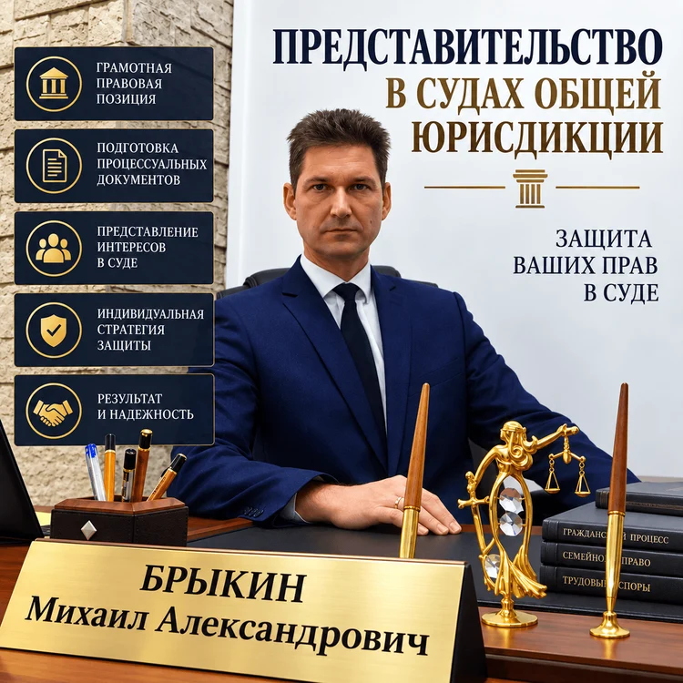 4c0b6a31-d543-473e-b2a6-67851089ebc3-представительство-в-судах.png
